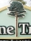 pinetree3