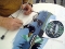 Sassafras Springs paint2