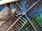 Eastham really close -